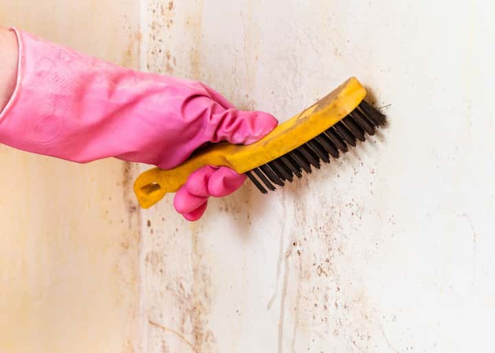 mold remediation Columbus Ohio