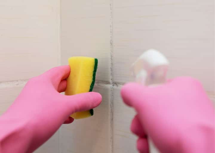 mold company Columbus OH
