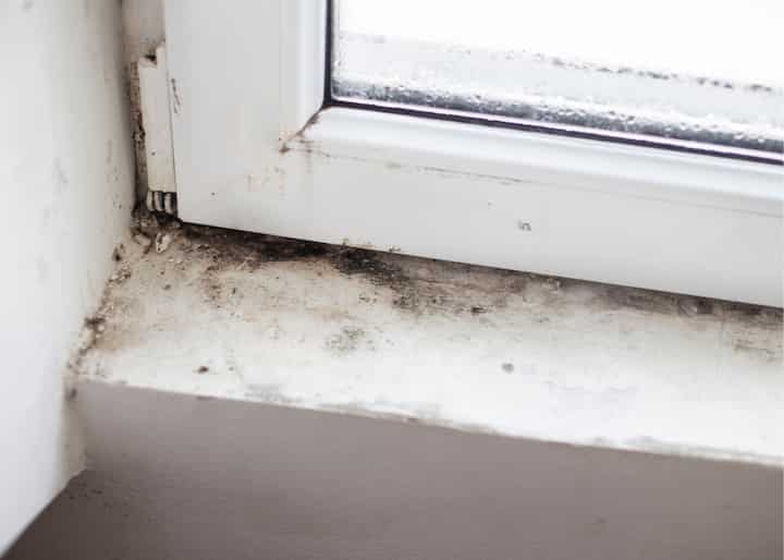 mold testing Columbus OH