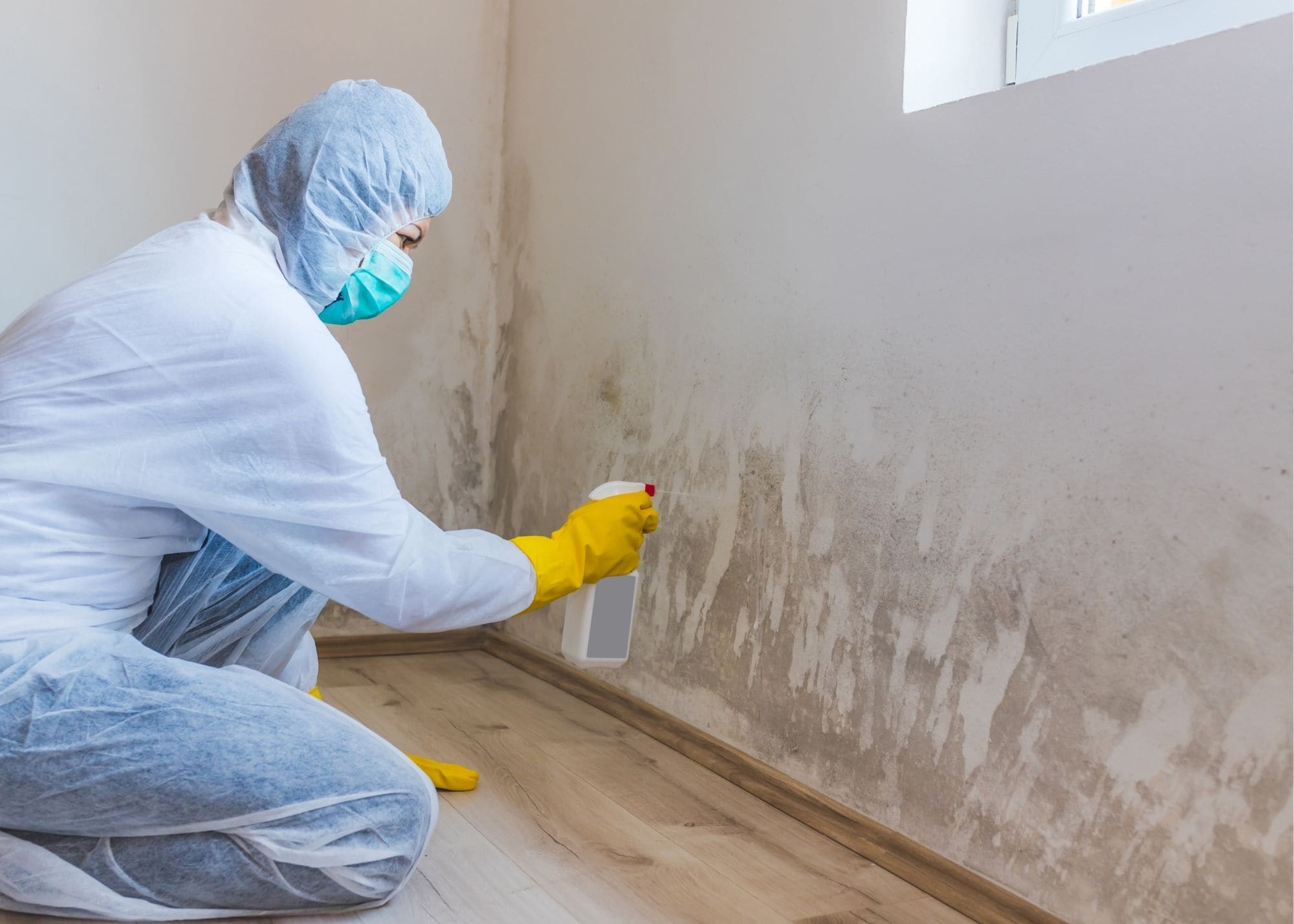 mold removal Columbus
