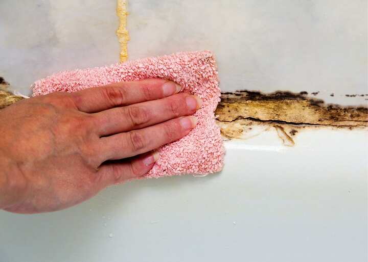 mold remediation Columbus