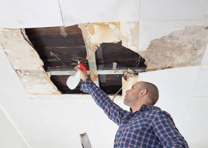 mold removal Columbus