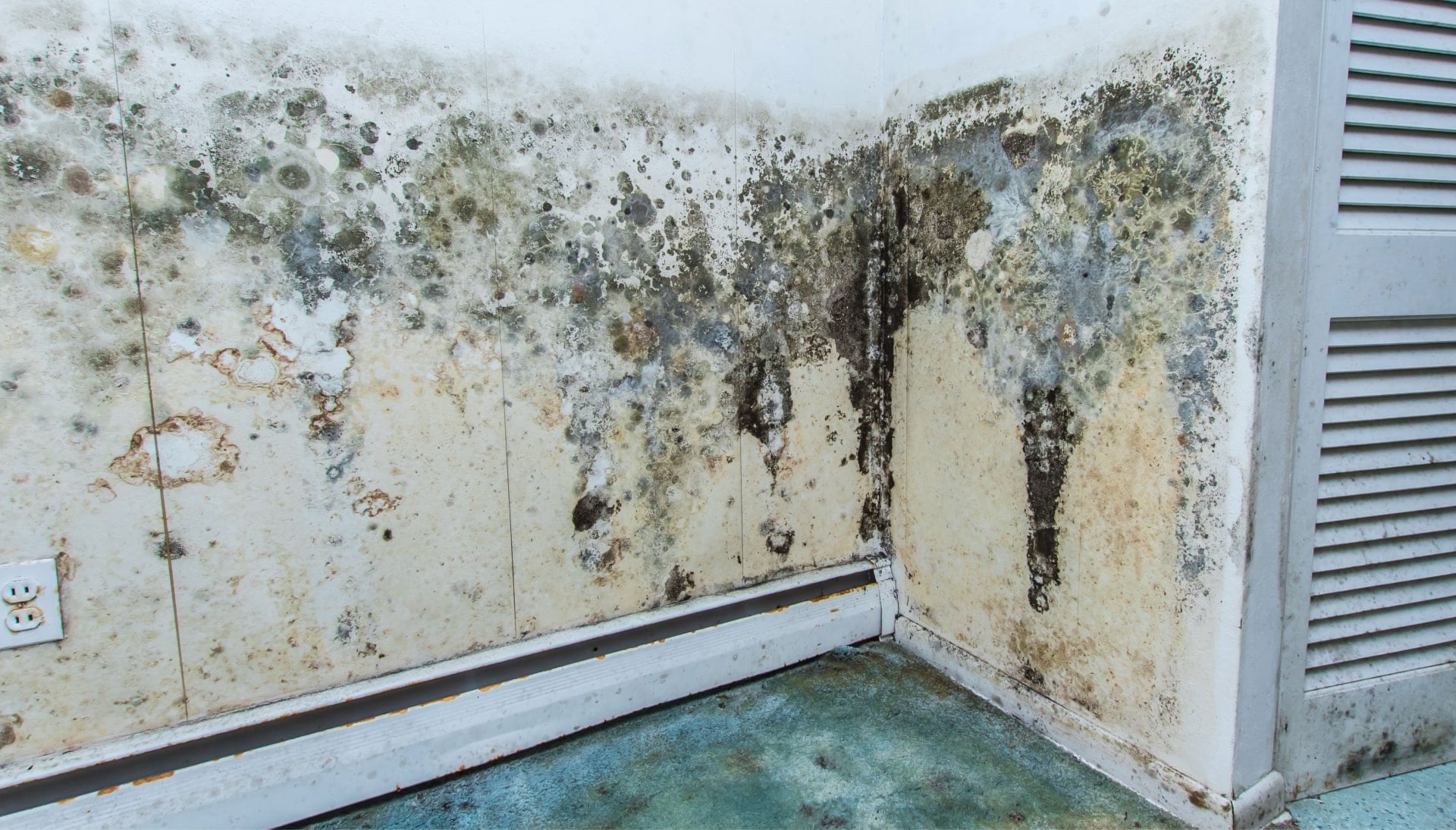 Professional mold removal, odor control, and water damage restoration service in Columbus, Ohio.