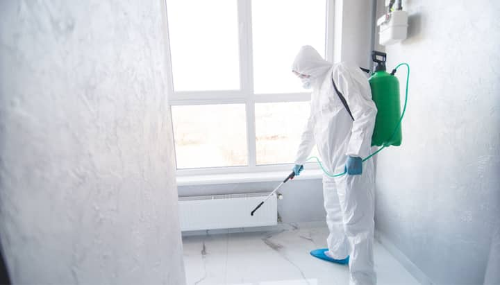 We provide the highest-quality mold inspection, testing, and removal services in the Columbus, Ohio area.